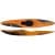 Fire Ant